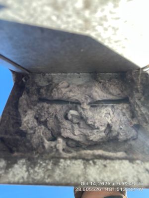 Dryer Vent Cleaning in Ocoee