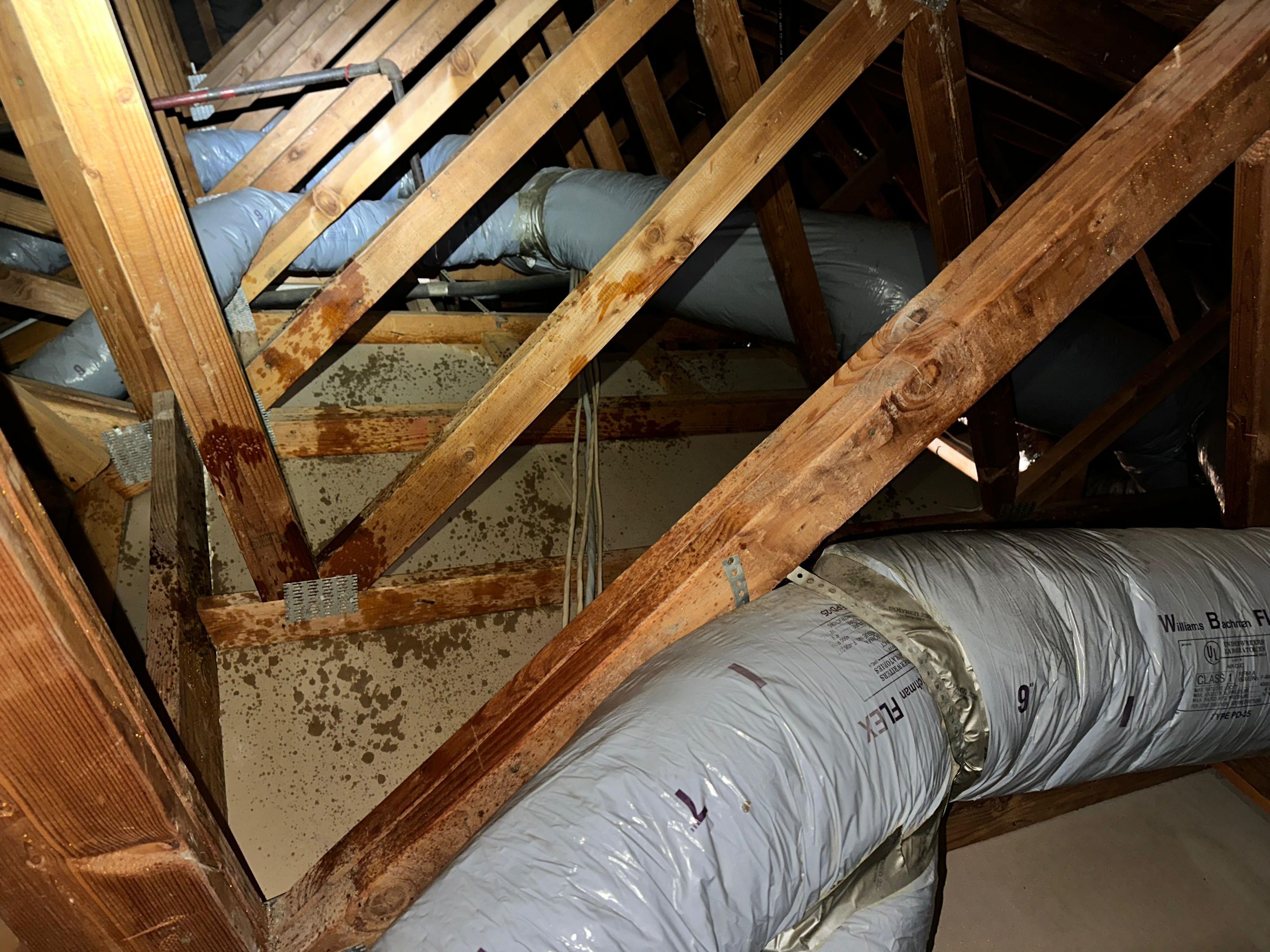 Project in Corona by Insulation Labs