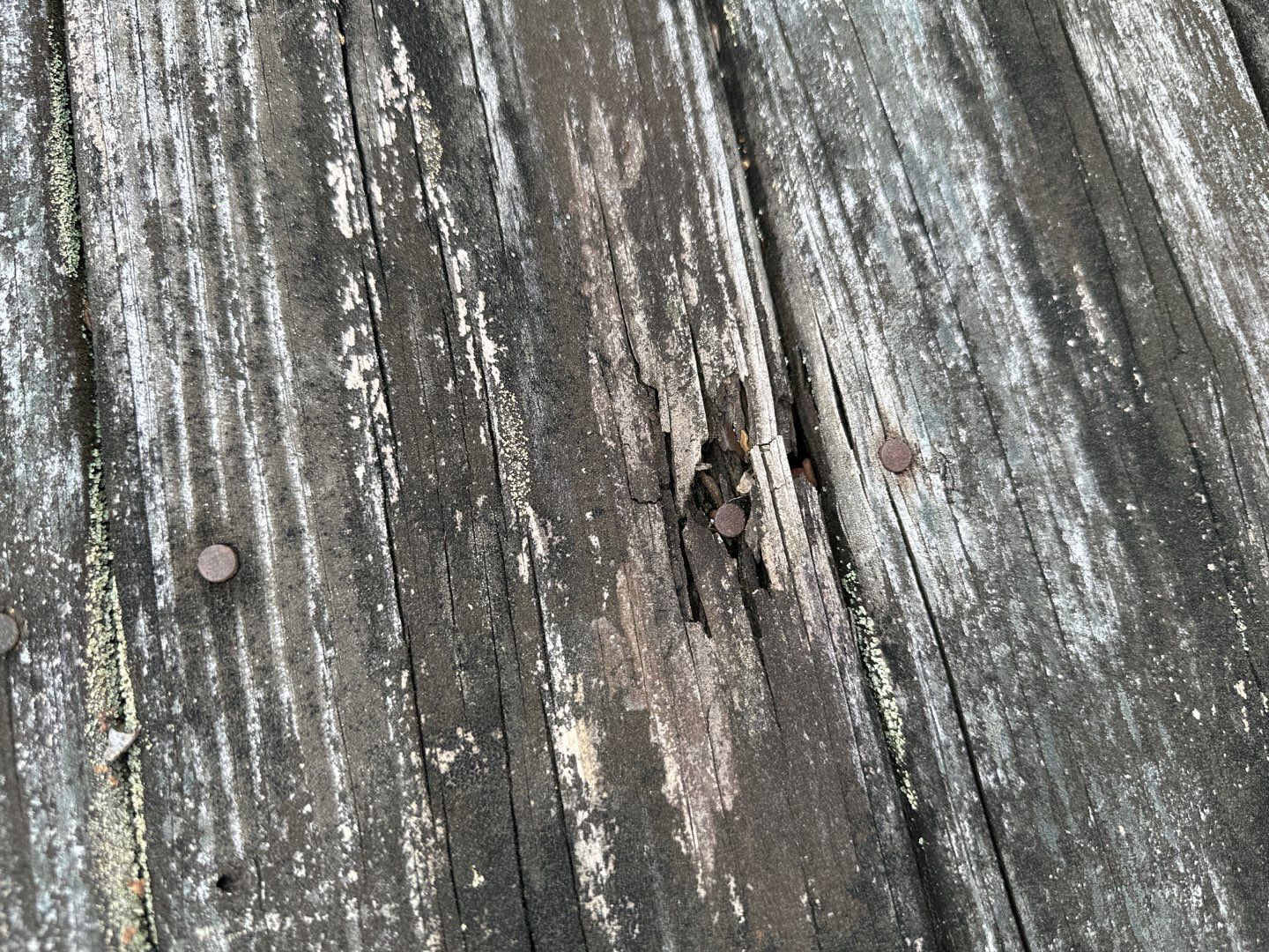 Dock using Wood Sealant by DuraSeal