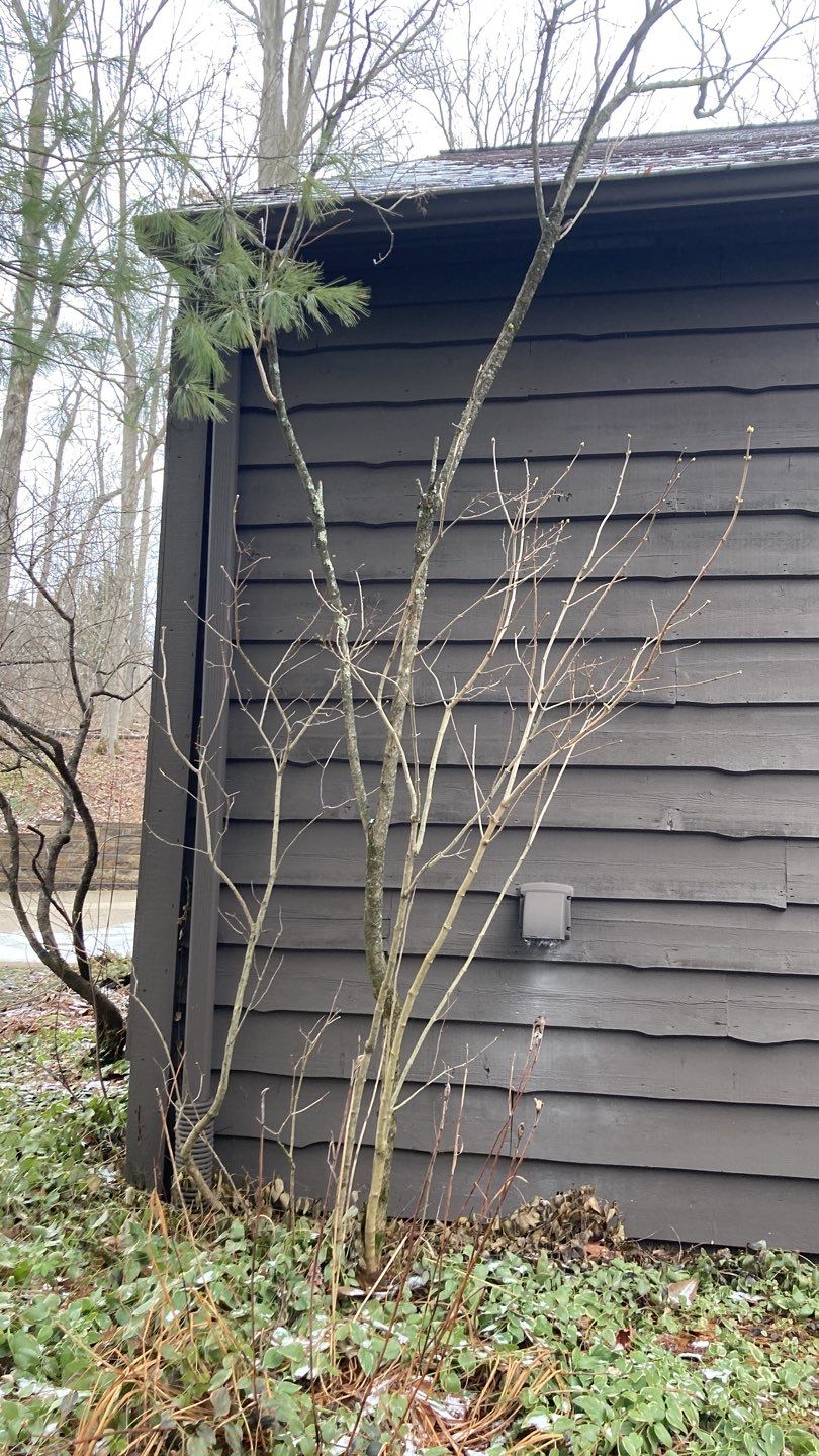 New Siding using James Hardie Siding  by Absolute Roofing and Construction