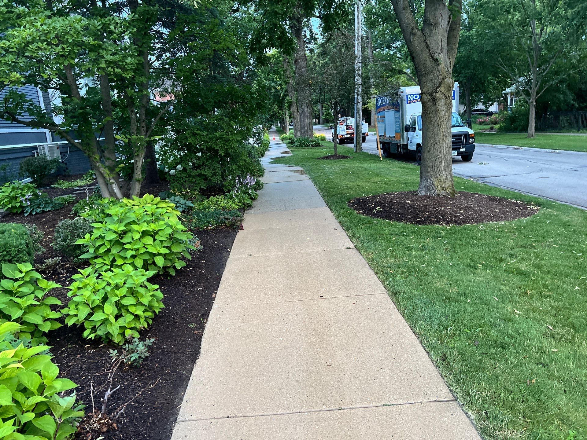 concrete cleaning using Algaecide, soft wash soap by Northern Power Washing LLC.