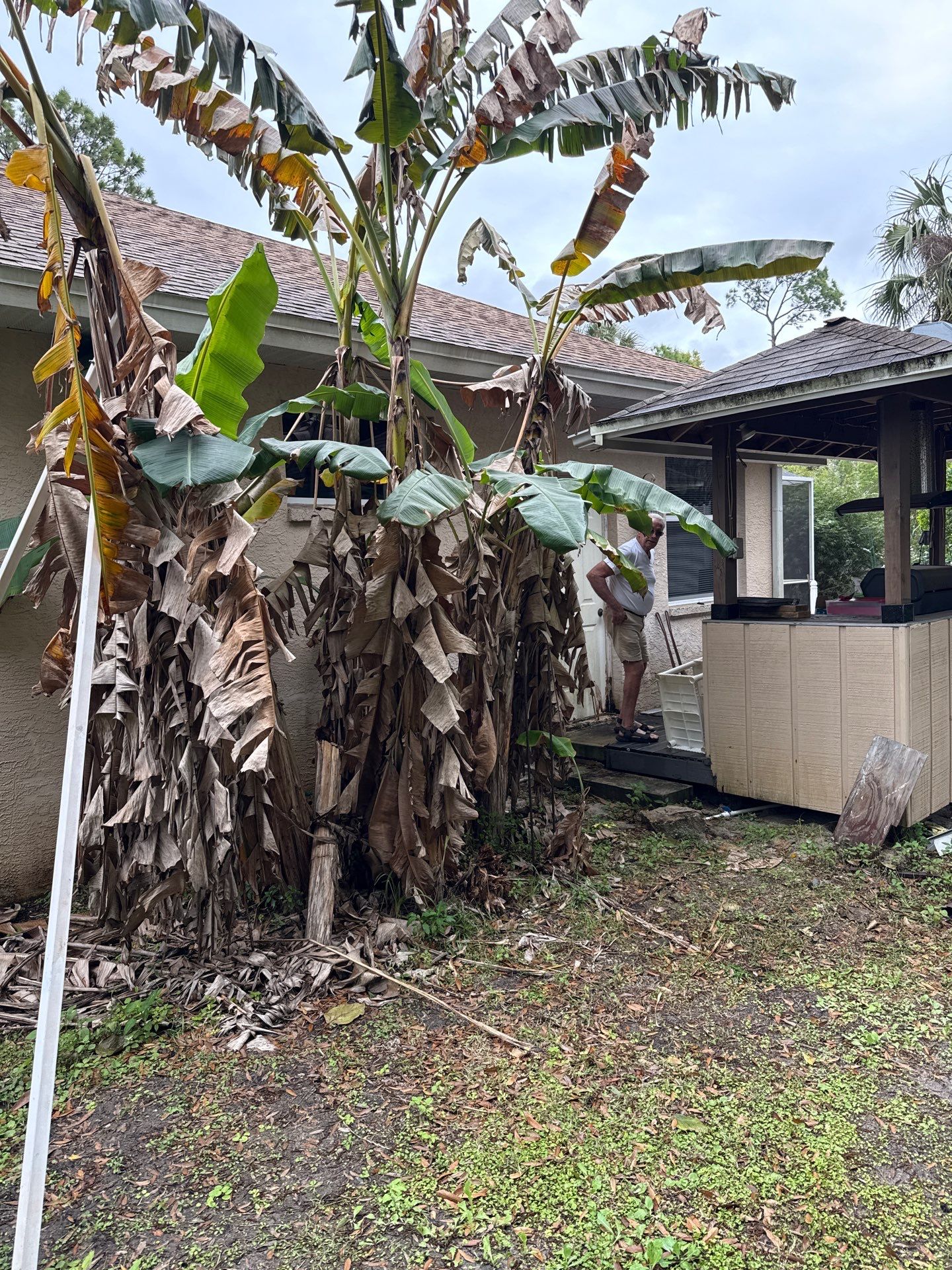 6 Inch Seamless Gutters using K-Style Seamless Gutters in Naples FL by Gutter Professors