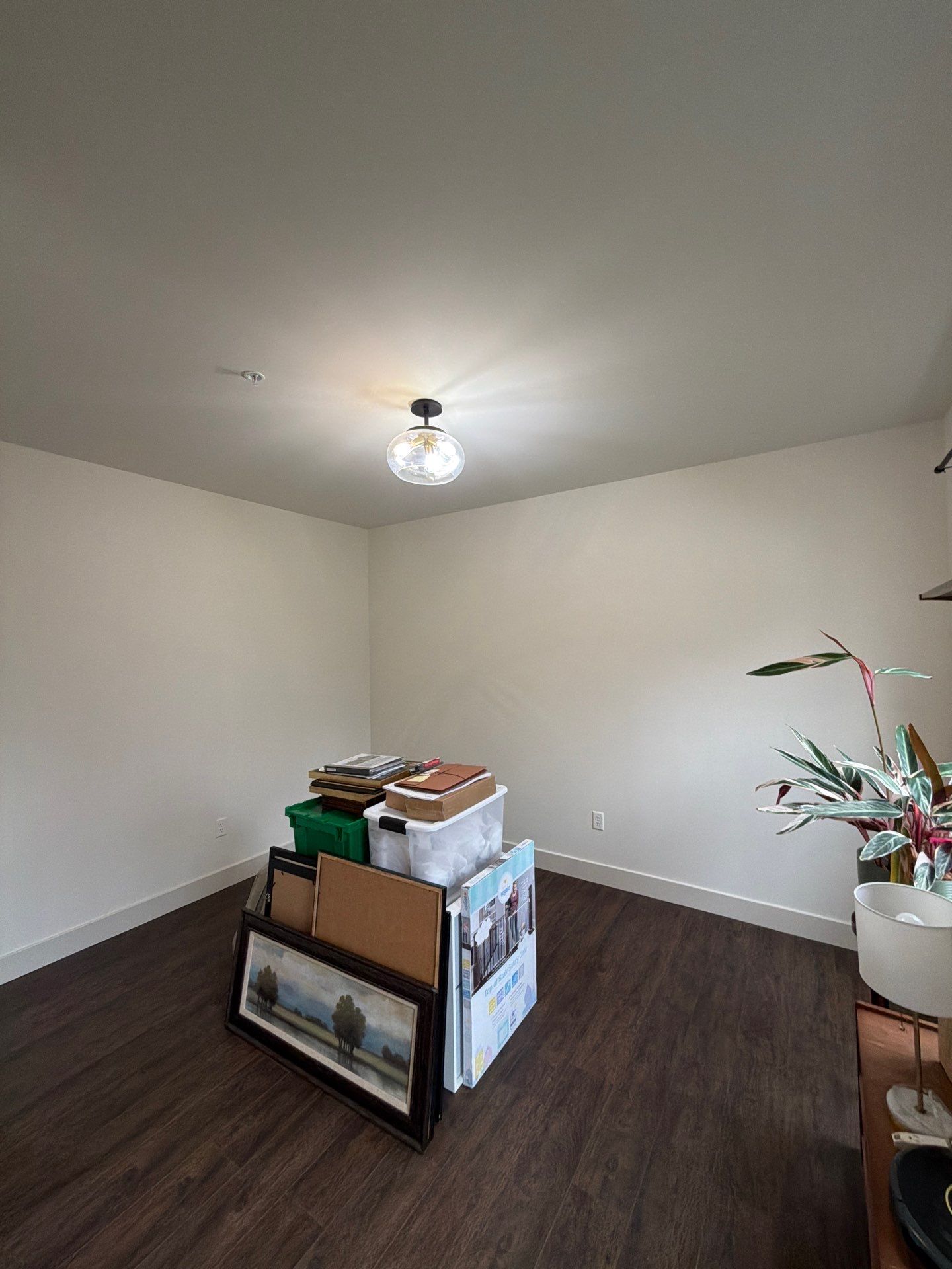 Whole-Home Interior Refresh in Malvern by Groovy Hues