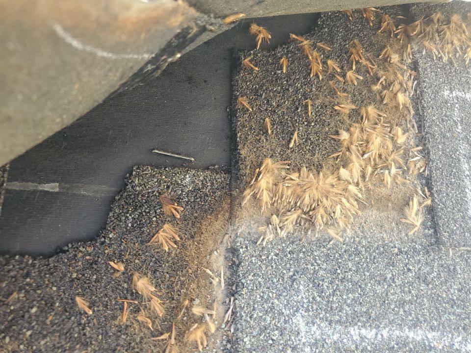 Nampa Idaho Residential Roofing Installation using Owens Corning by ID Roofing LLC