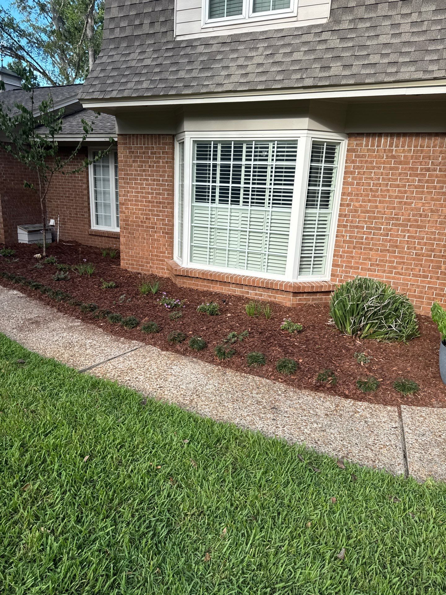 Deerwood Resident | Sod & Bed Design/Plant Installation by ProGreen Services