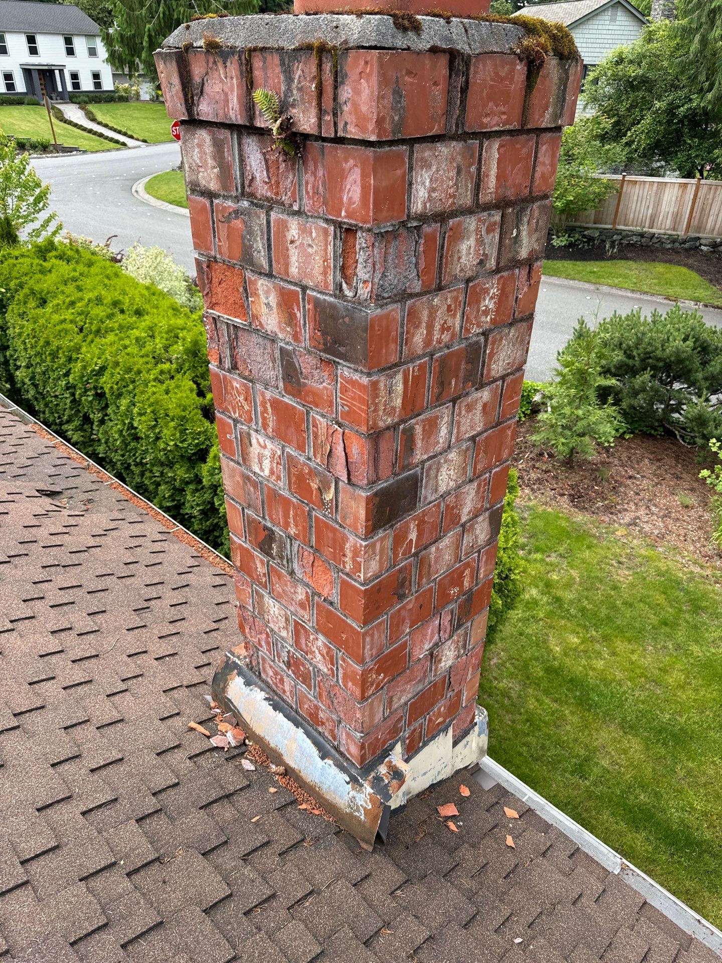 Project in Mill Creek by Peaks and Valleys Construction