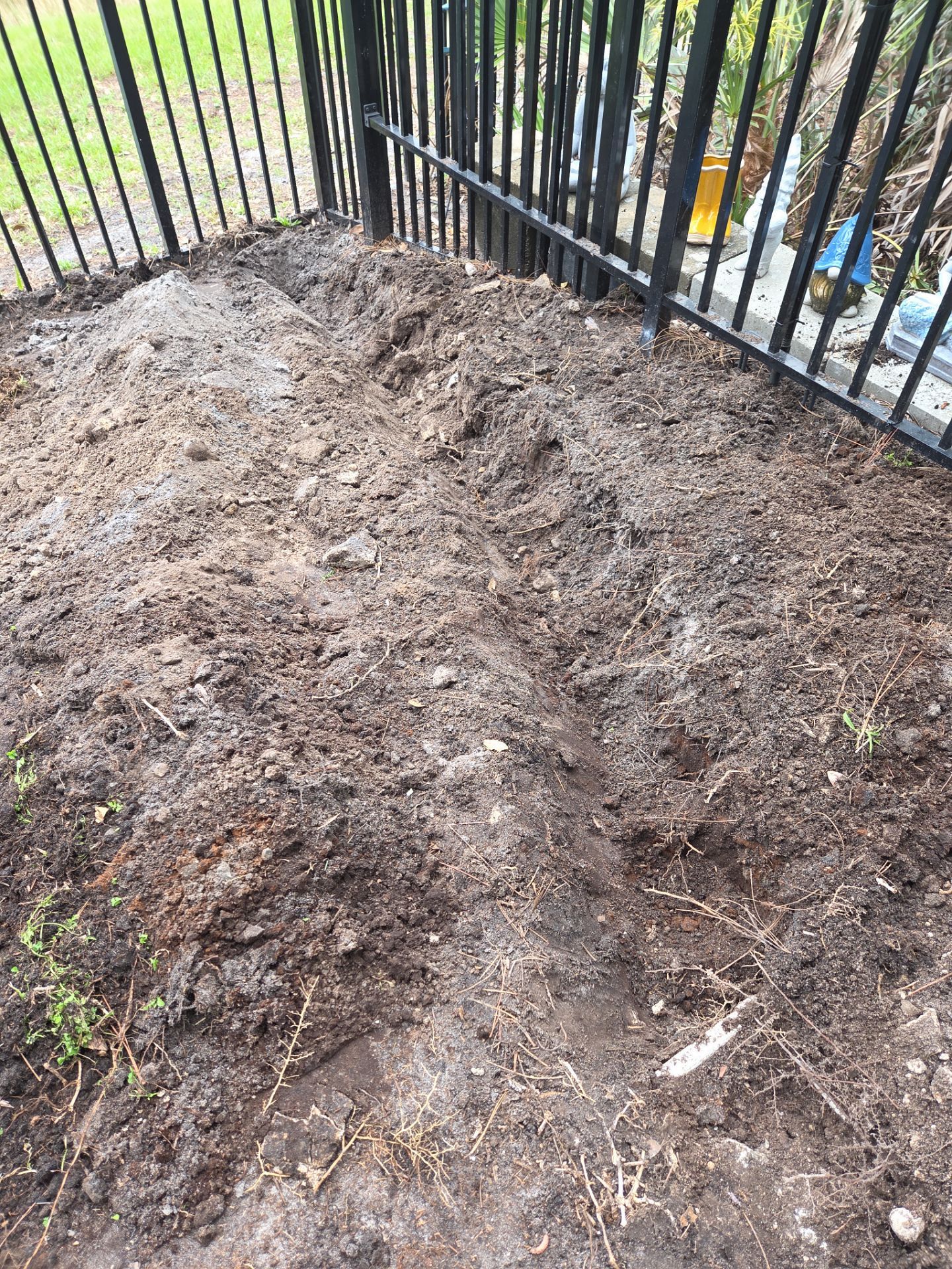 🌱 Magnolia Ridge Lawn Refresh by Alpha Zeta Enterprises Inc