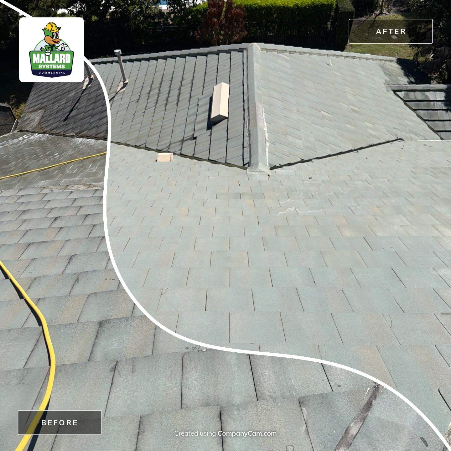 Flat Tile Roof Cleaning by Mallard Systems