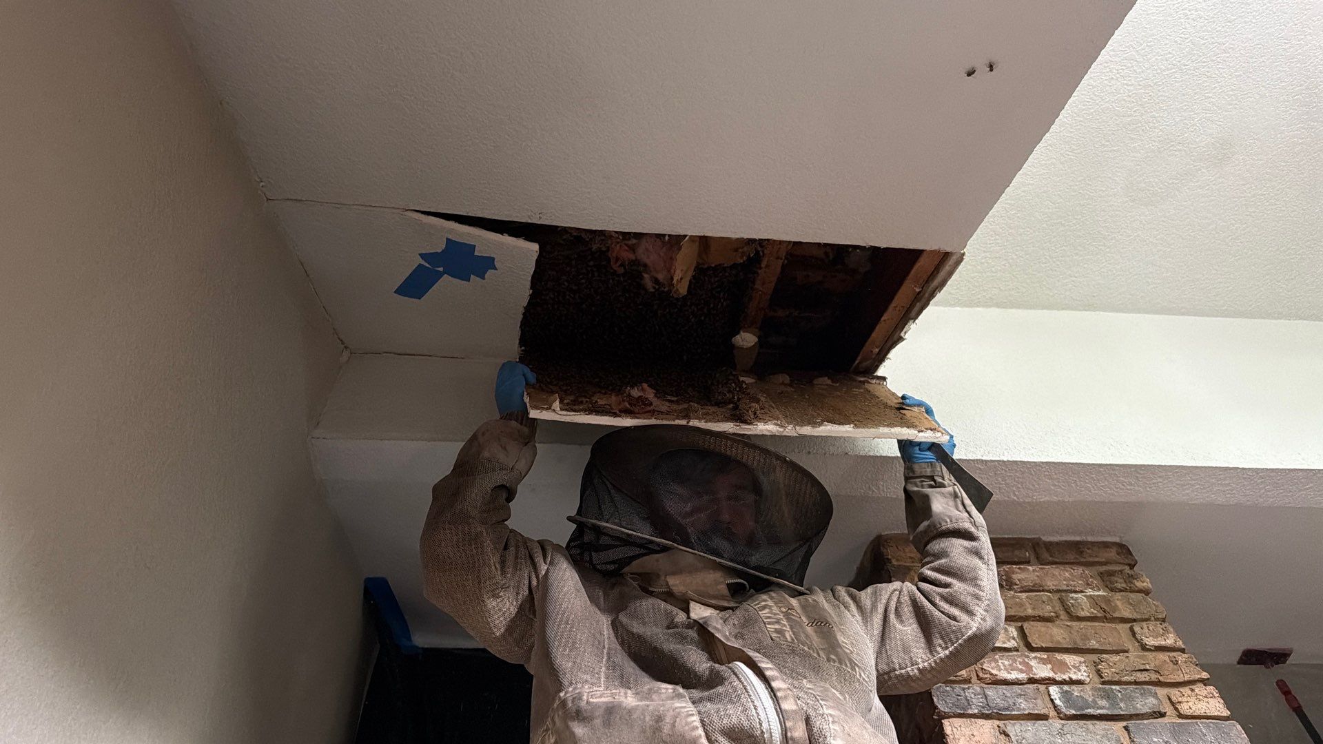 Wedged and Woody Bees by Rockwall Honey Bee Company