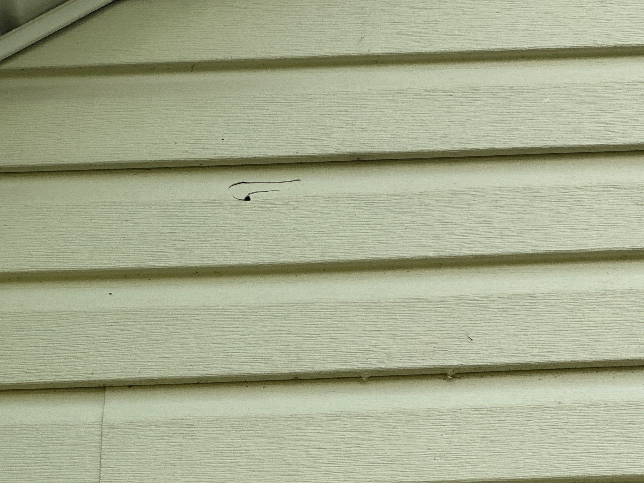 Jonathon Salmons Hail & Tree Damage Report by Constructive Project Management