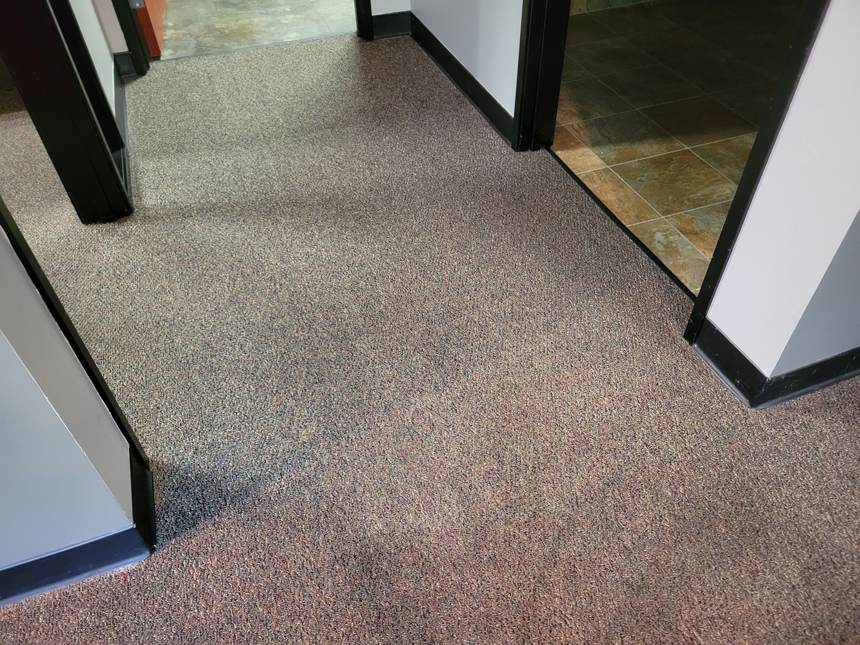Carpet Cleaning of Commercial Offices by Ardent Carpet Restore LLC