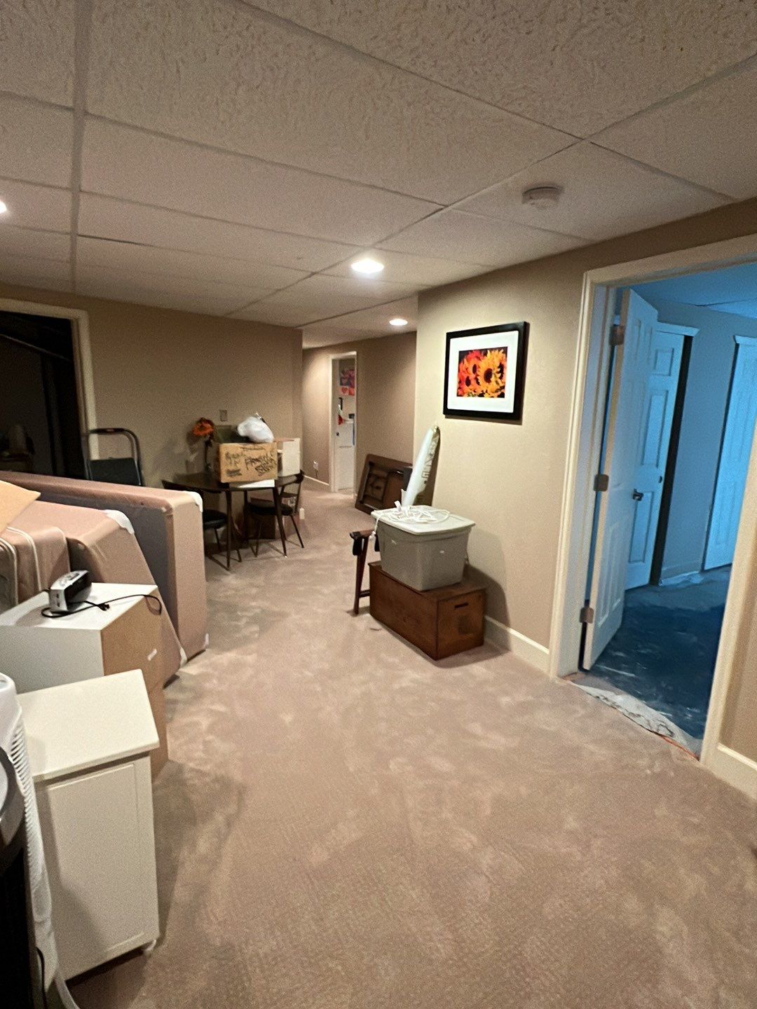 Mold Damage by Accountable Home Services