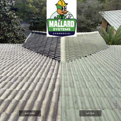 Tile Roof Cleaning