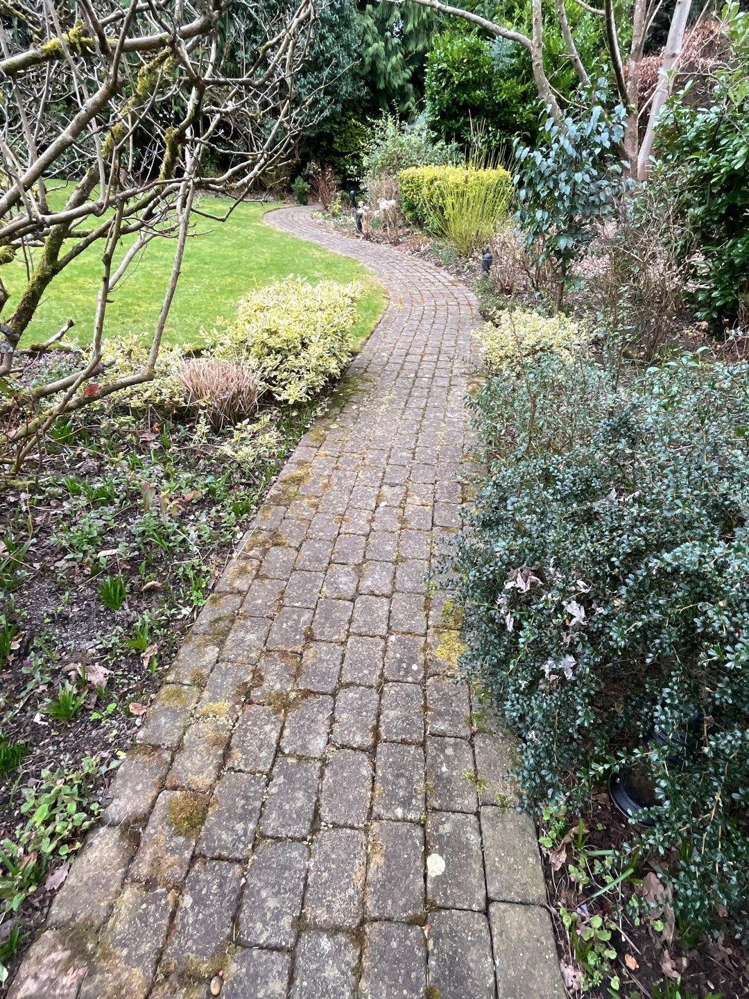 Patio Clean using 18inch Whirlaway FSC by Ges Exterior Cleaning ltd