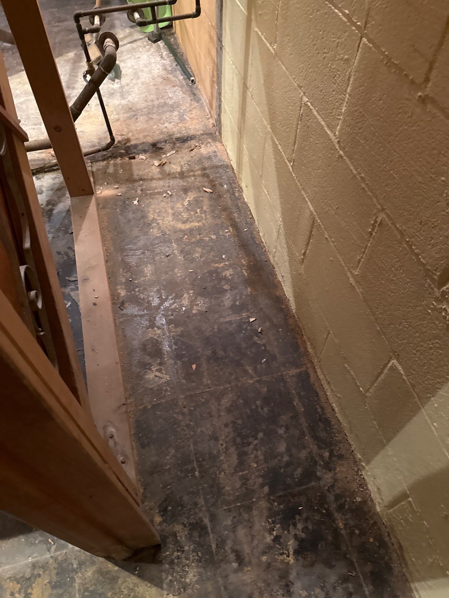 Basement + Garage Project in Pittsburgh by Floors in a Day, Inc