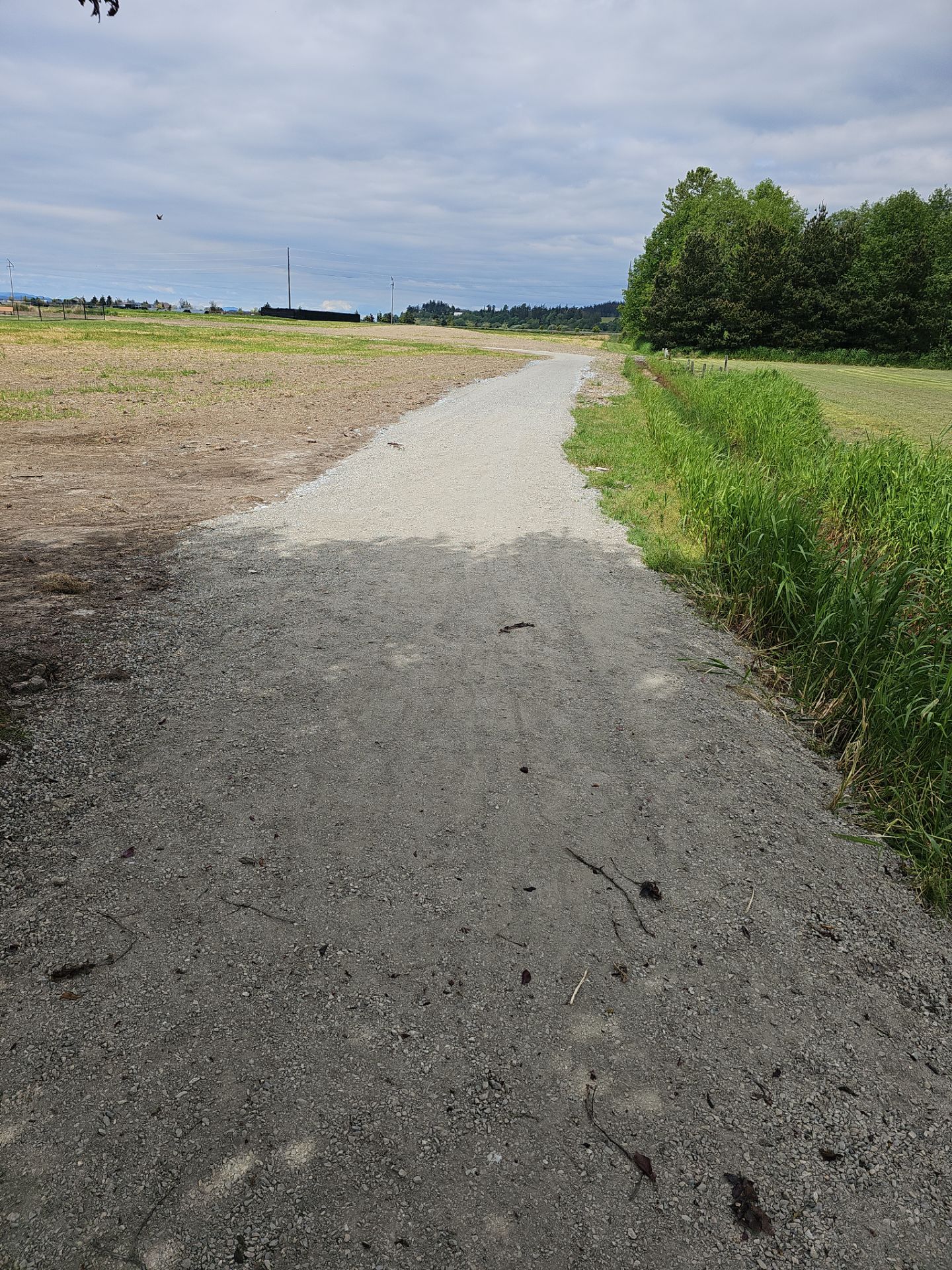 Asphalt Patch Repairs | Stanwood  by Jireh Asphalt & Concrete Inc 