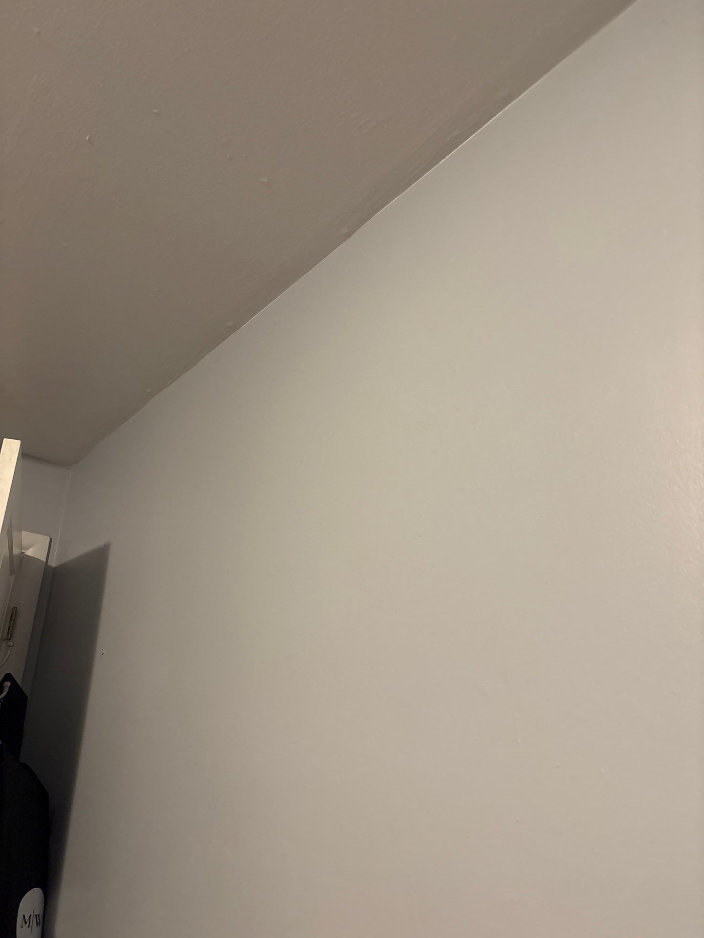 Denver Interior Water Damage Remediation and Ceiling Repair by CompanyCam Sales Demo