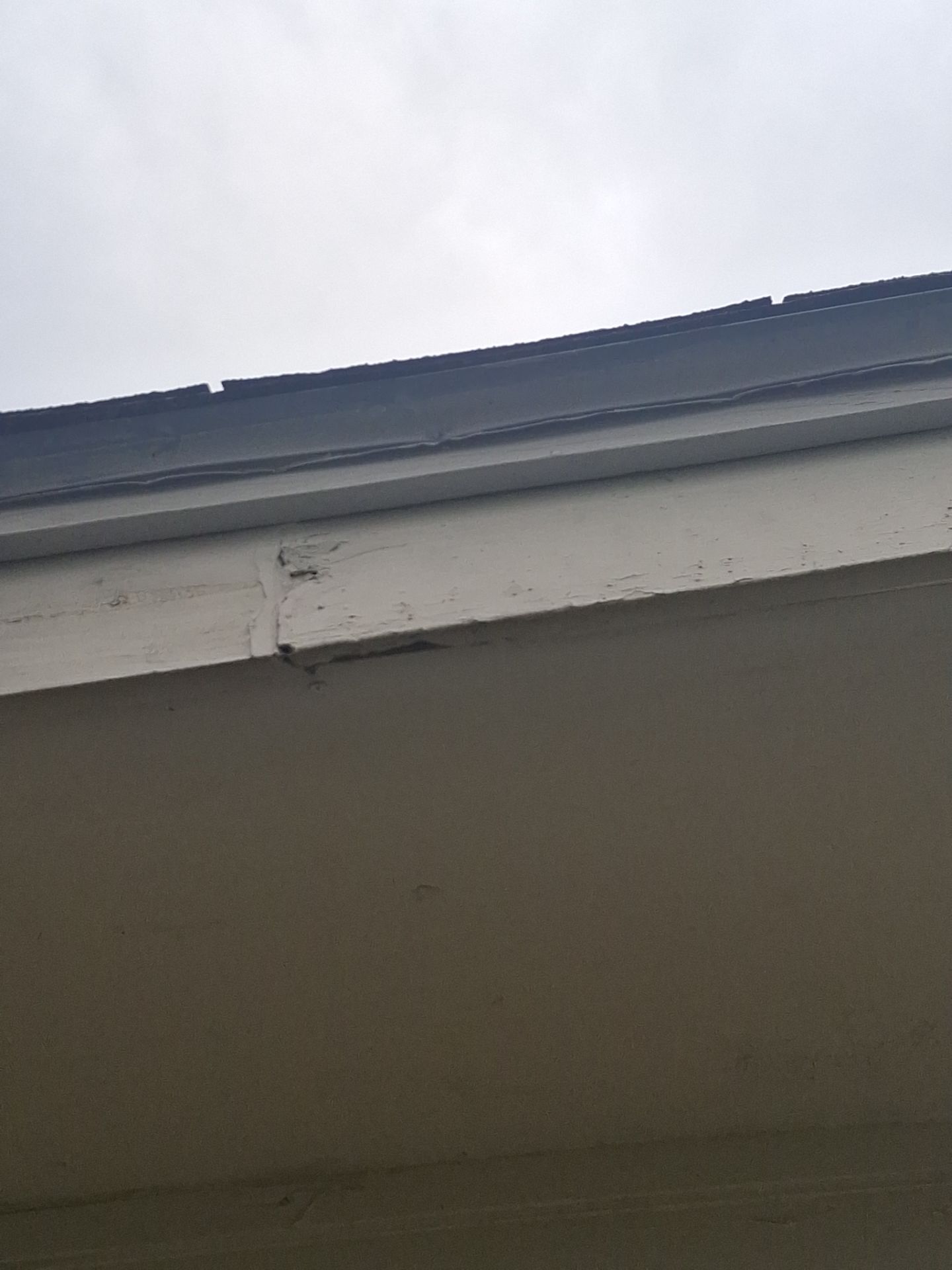 From Peeling to Perfect in Tyler, Texas by Quality Coats Painting