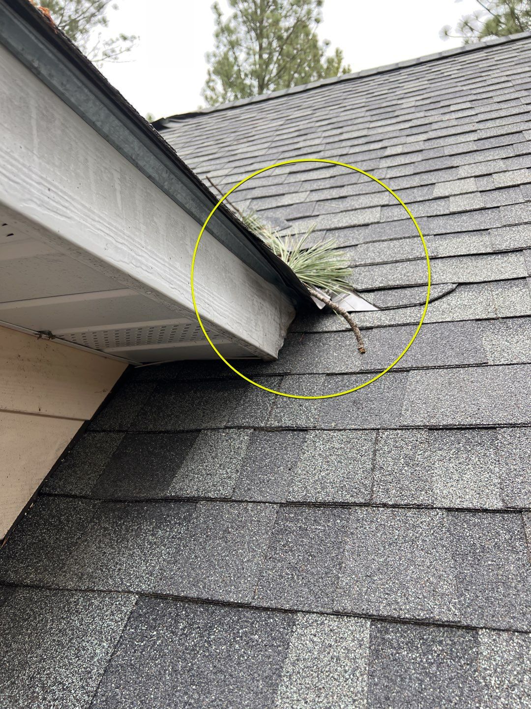 Green Snap Lock Standing Seam  by Montana Roofing Solutions