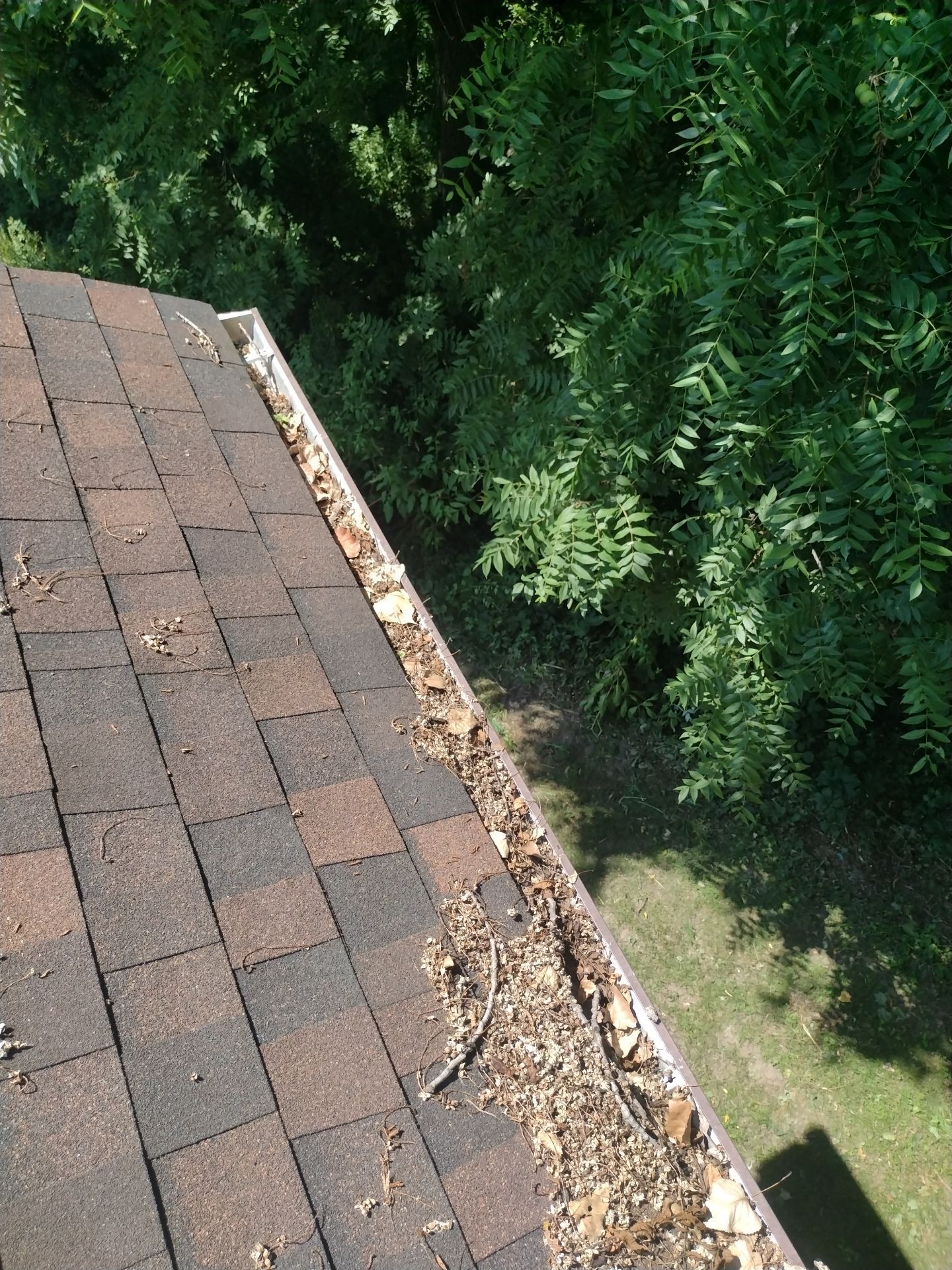 HOA gutter cleaning before photo.
