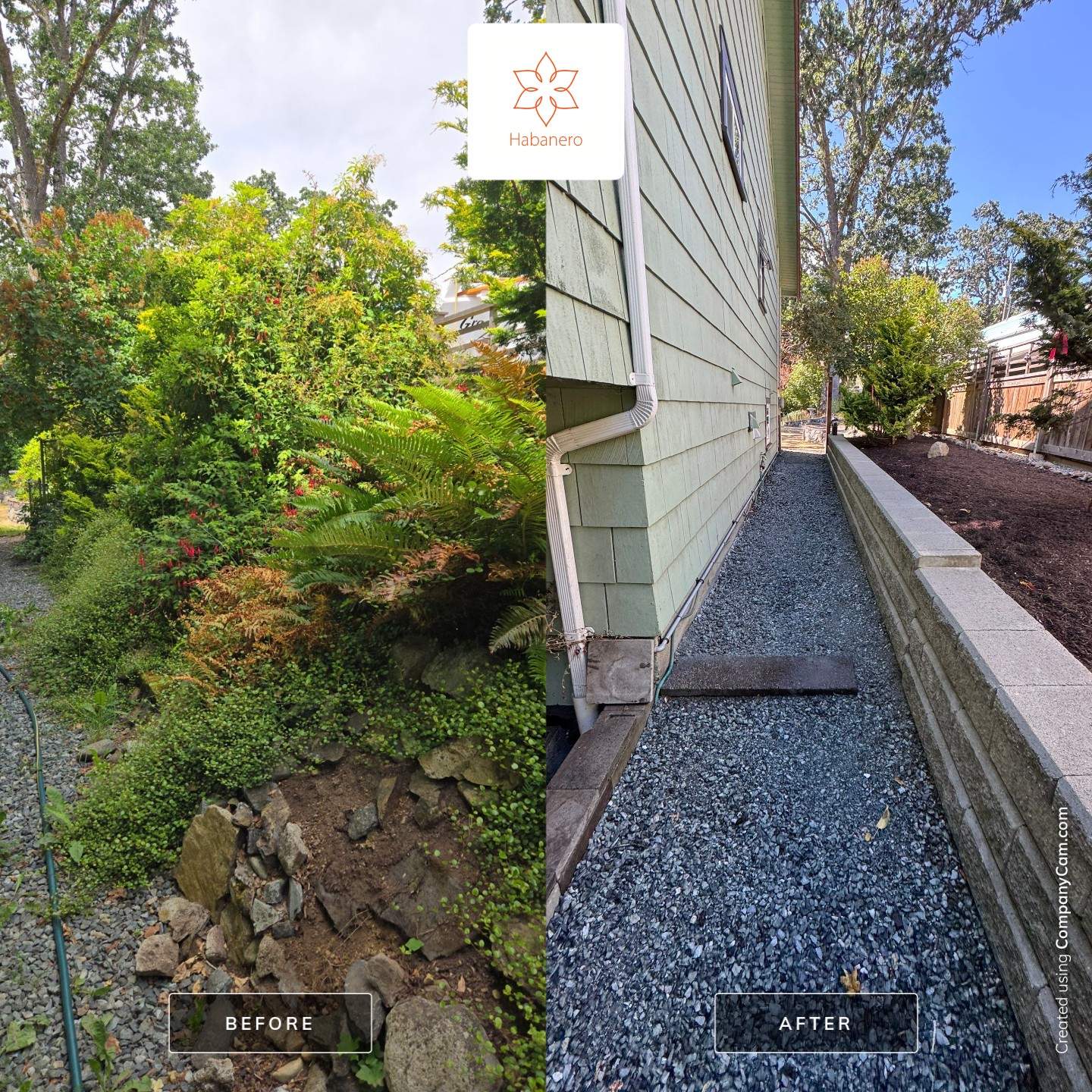 Complete Landscape Transformation - Esquimalt, BC by Habanero Garden and Exterior Care