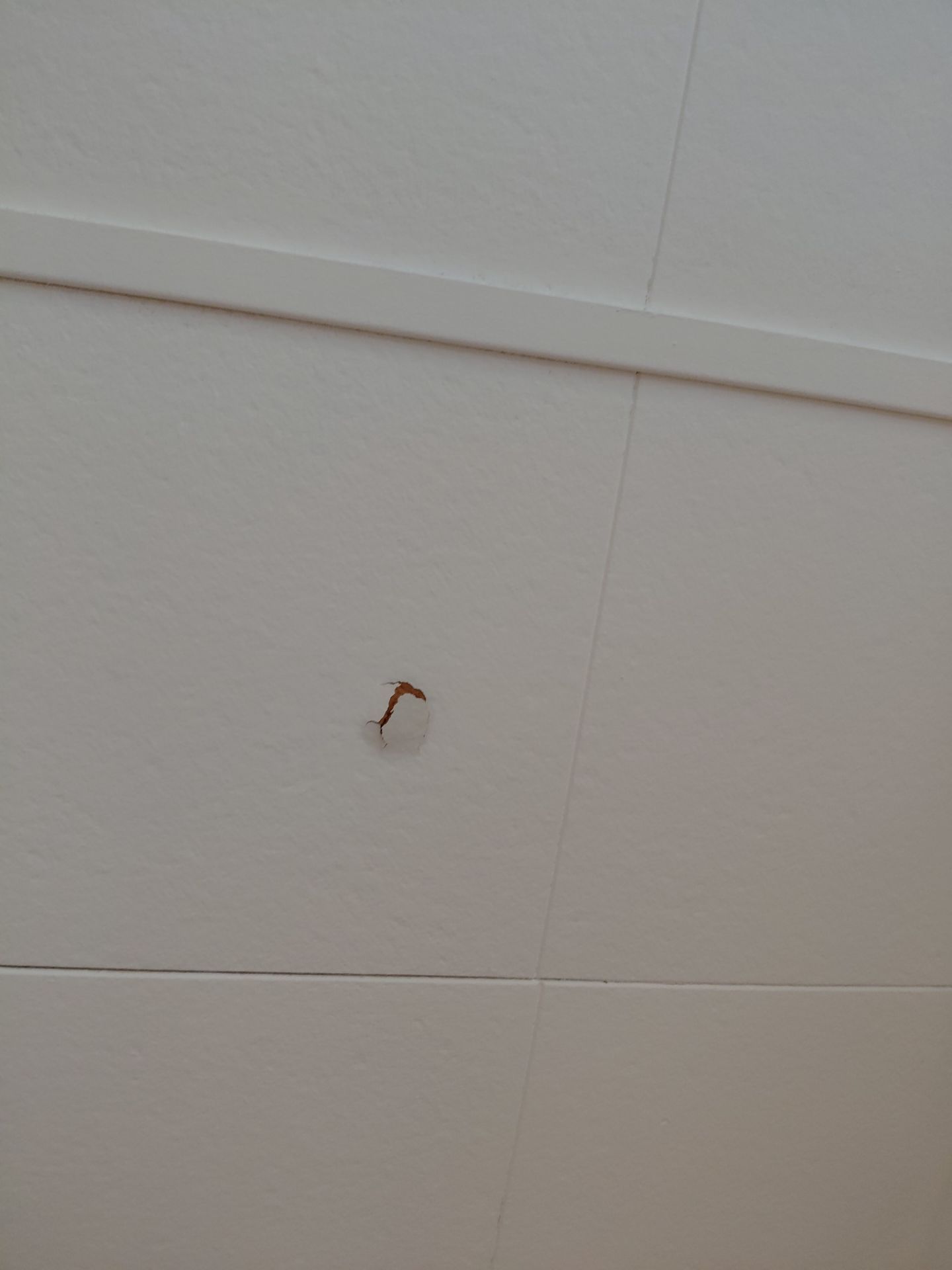 Arlington: Residential Roof Replacement with CertainTeed Landmark PRO in Max Def Colonial Slate by RM Banning, Inc.