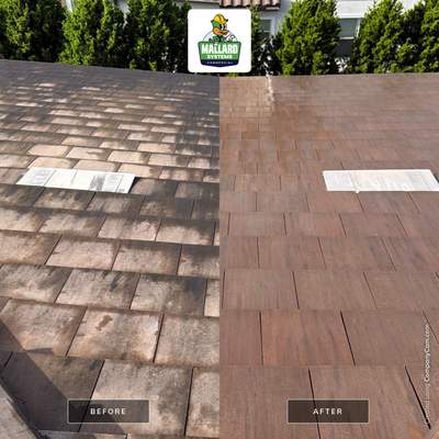 Tile Roof Cleaning in Orlando's Golden Oak Community