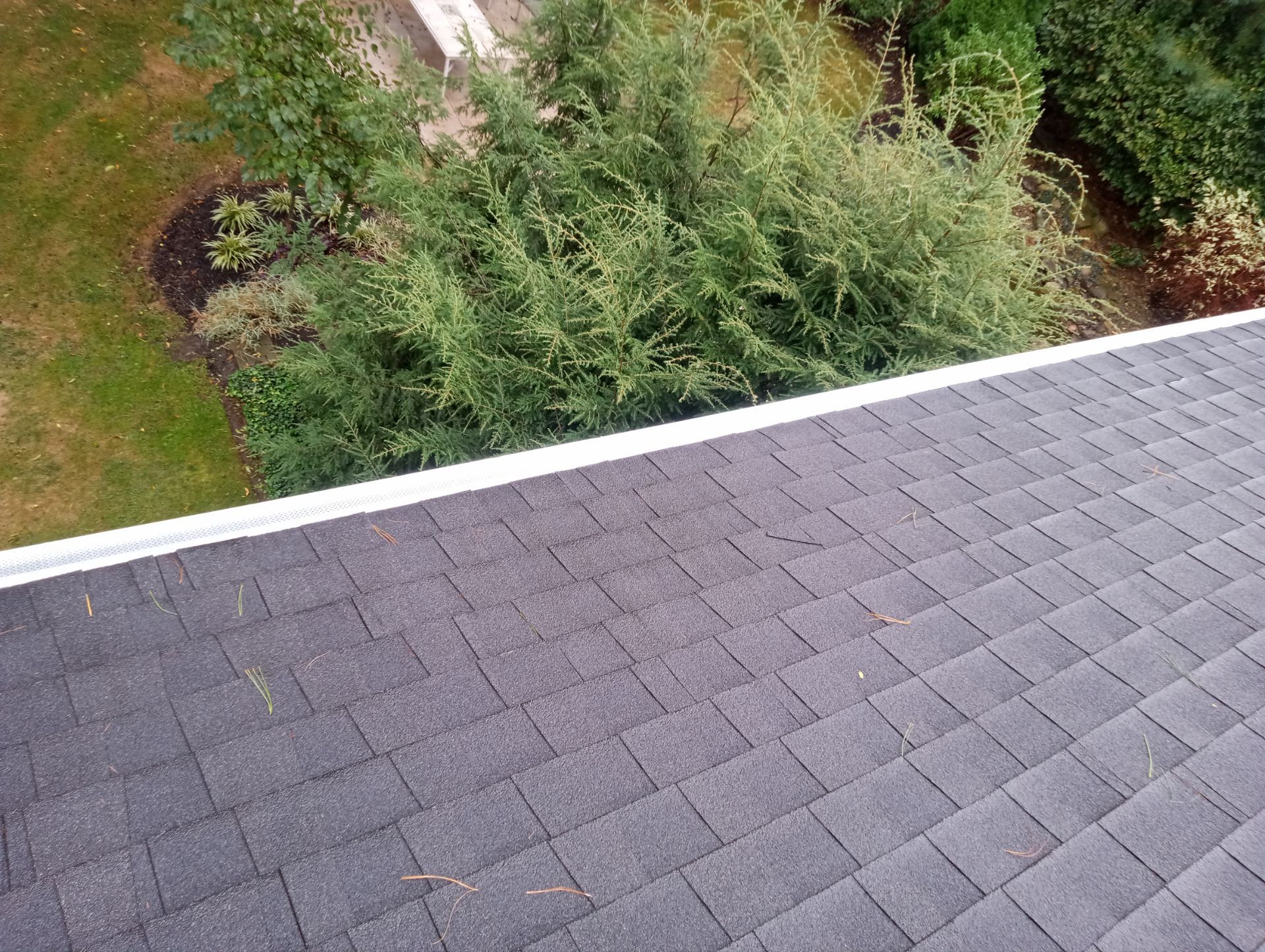 Ritha McLaughlin by Silver Leaf Contracting 
