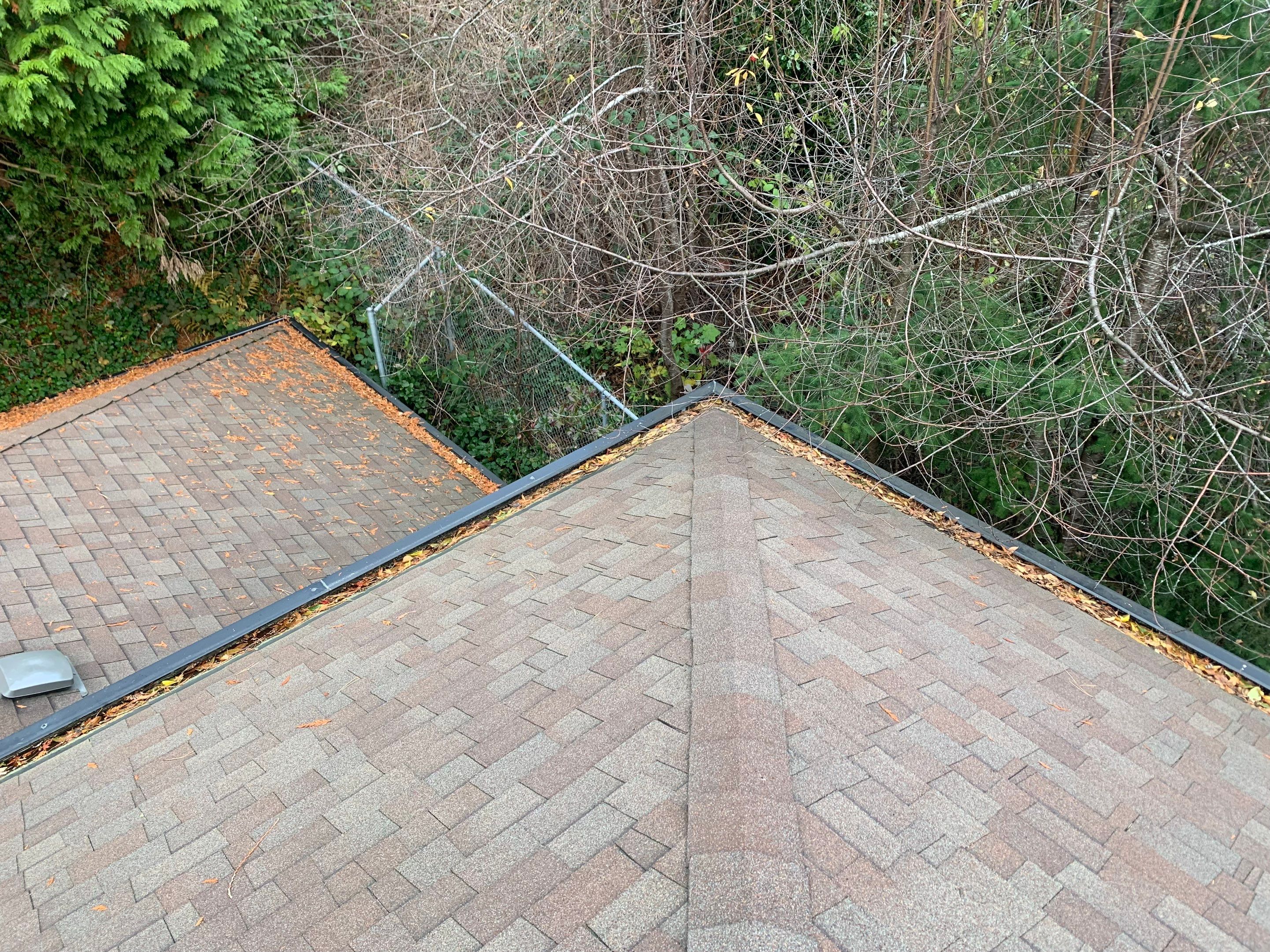 Gutter Cleaning  by YVR Construction Group