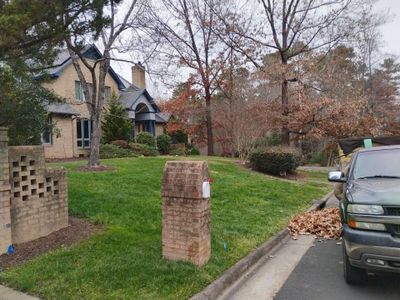 Leaf removal and vacuum leaves