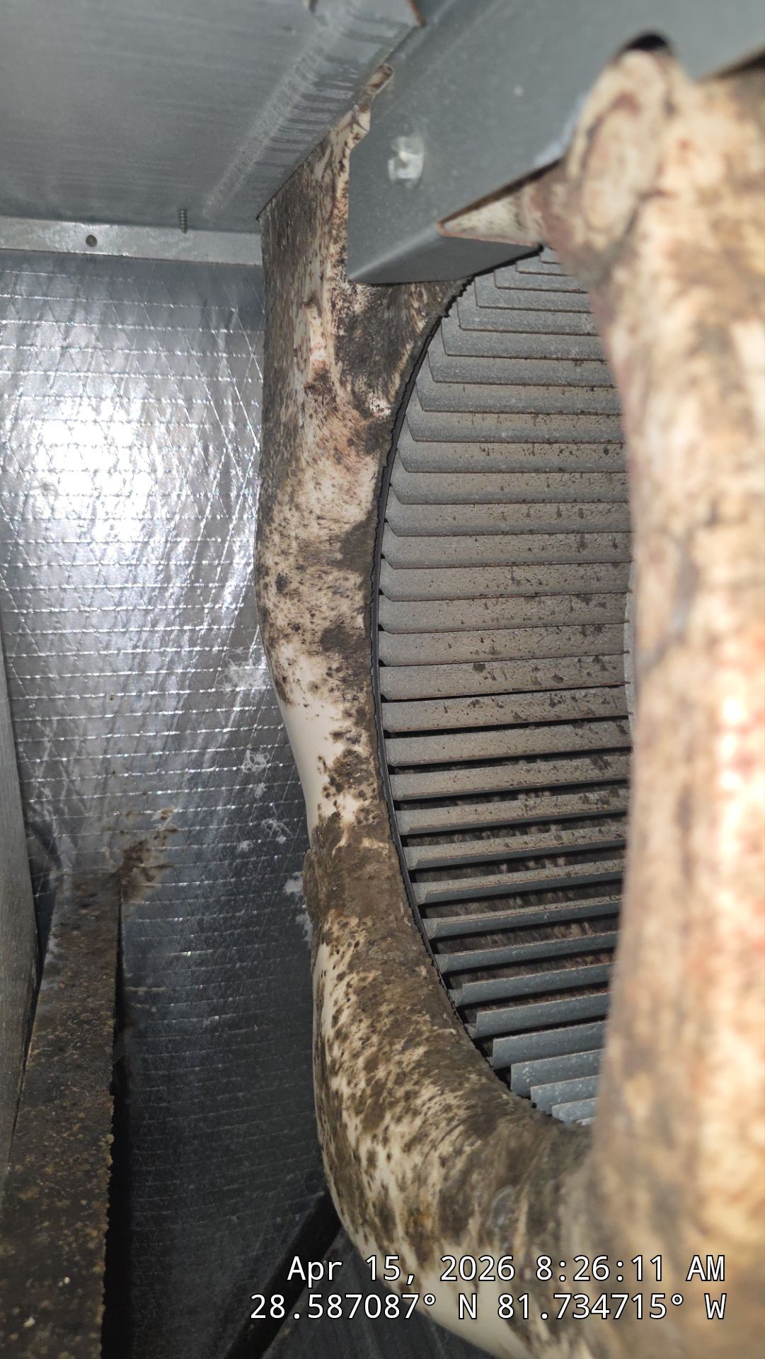 Air Duct Bath Fan Cleaning in Clermont by Hygienic Air, Inc