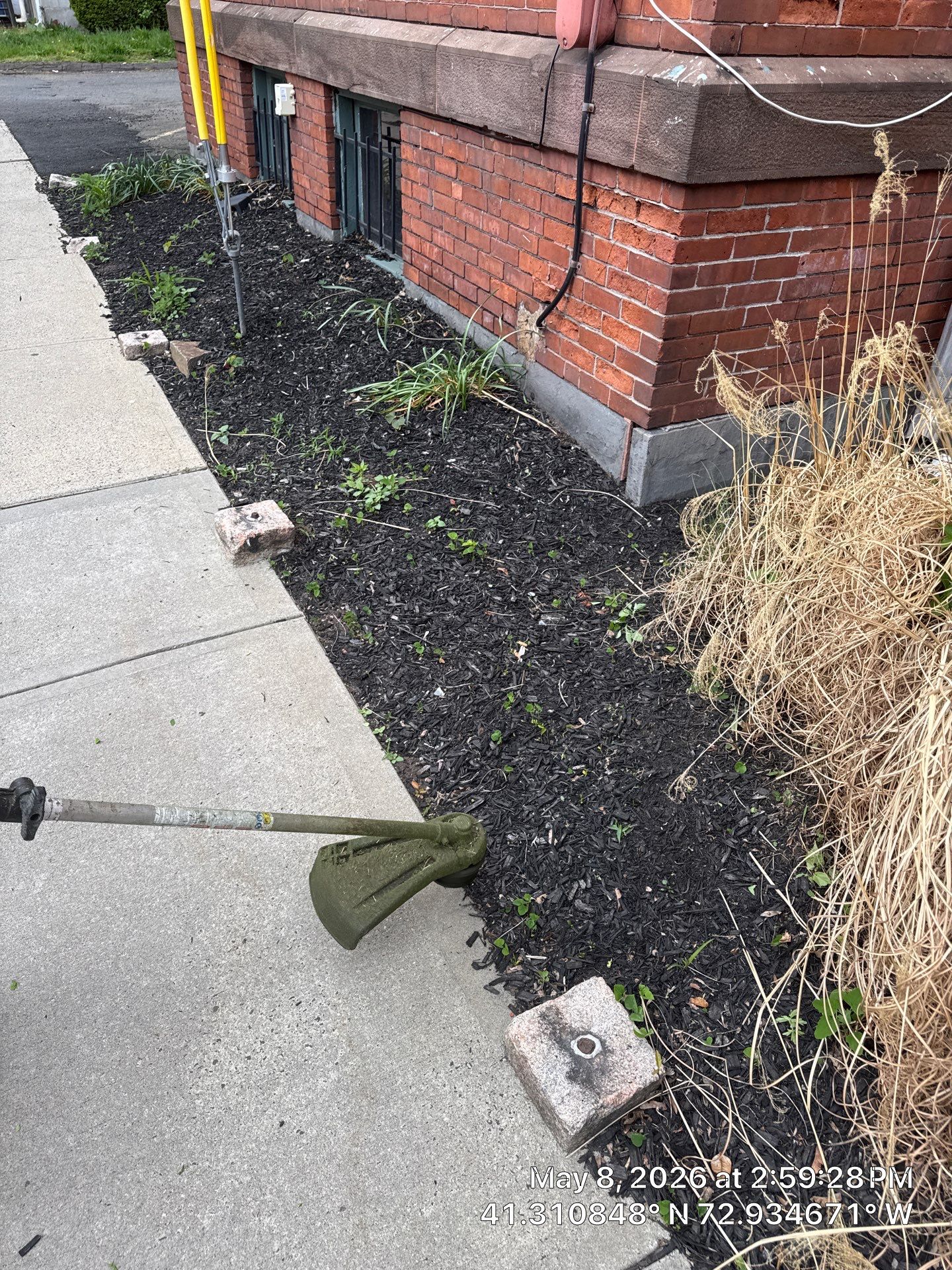 Commercial Property Cleanup and Landscape Maintenance in New Haven by Diamond Image LLC