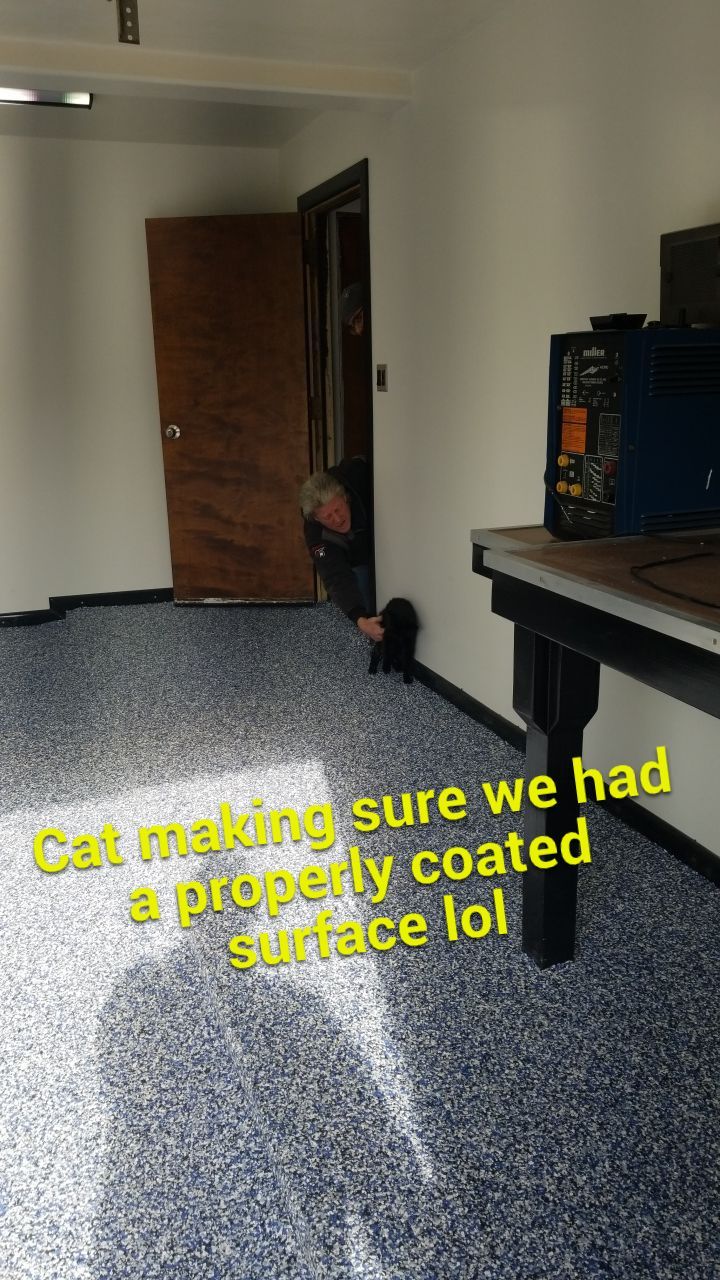 Installers have Feline supervision by Spectrum Painting, LLC