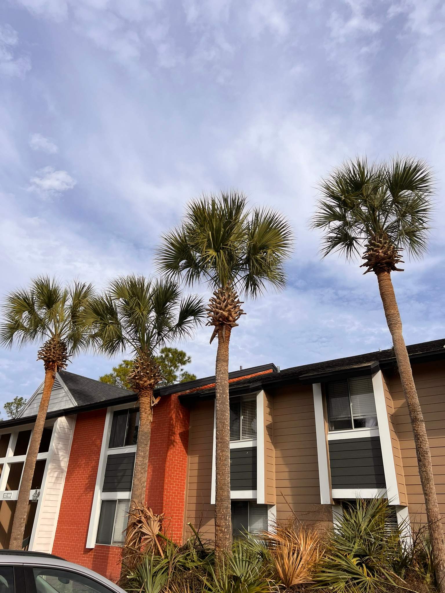 Tree Trimming | Preserve at San Jose by ProGreen Services