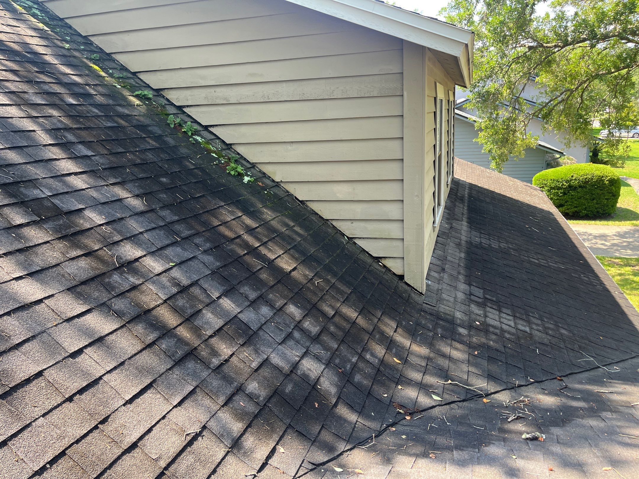 Shingle -> Shingle by Prime Roofing
