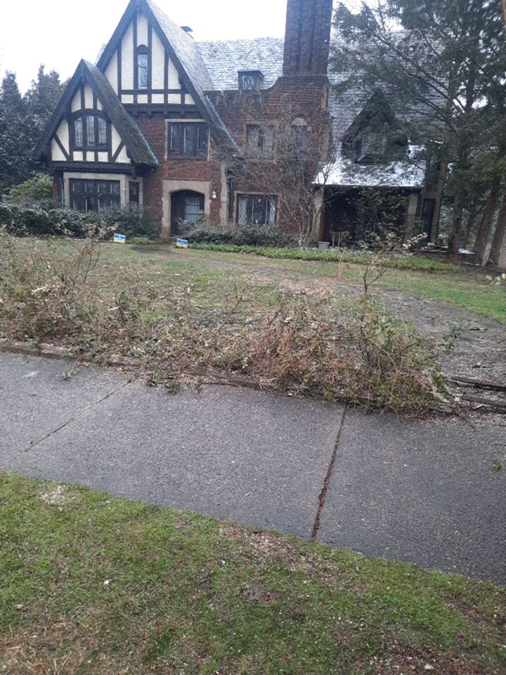 Tree Removal using Tree Removal by Mike Jones & Sons Tree Service LLC 