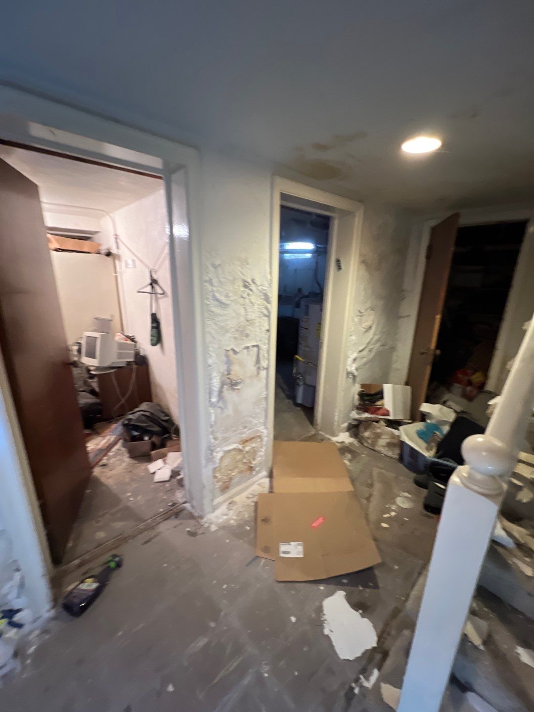 Mold Remediation by Accountable Home Services