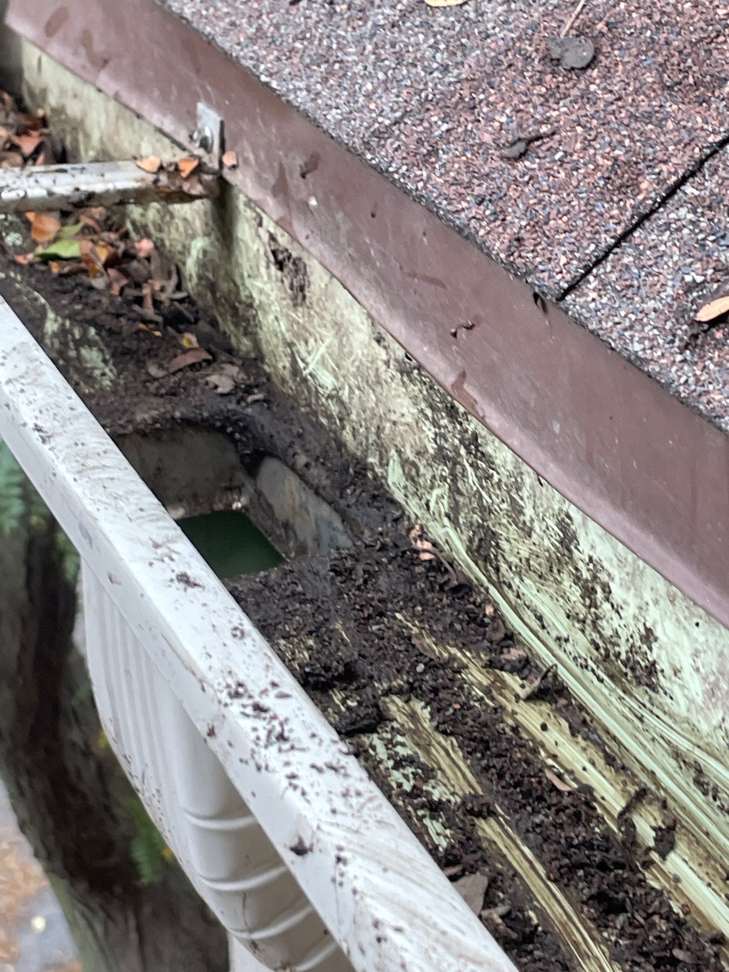 Commercial gutter cleaning Nebraska after photo with clean gutters