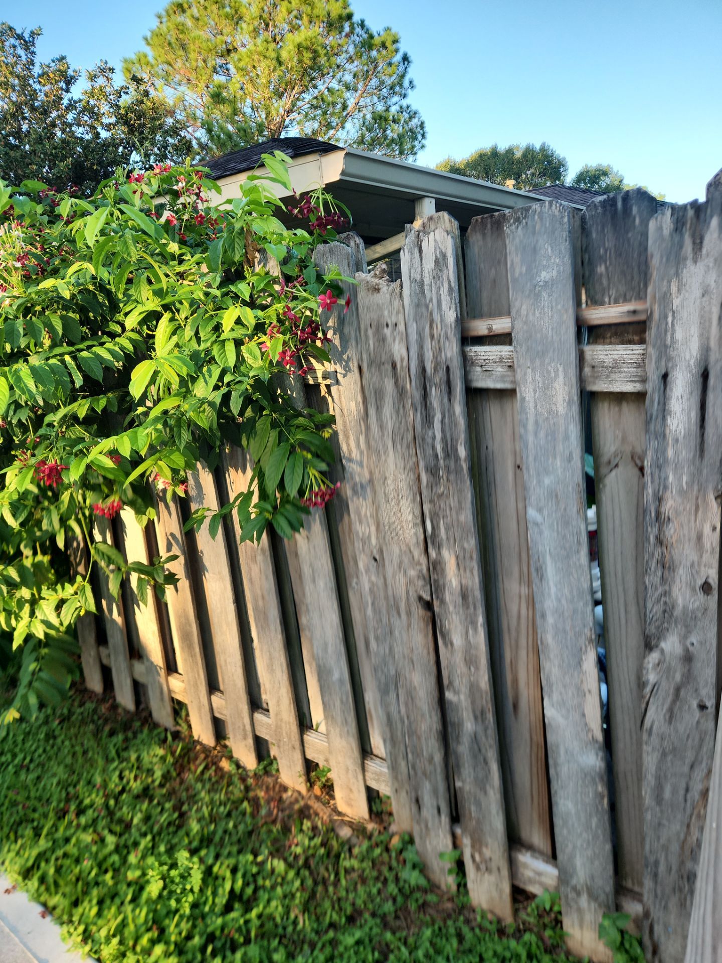 8ft Tall wood fence installation by Tim's Fences