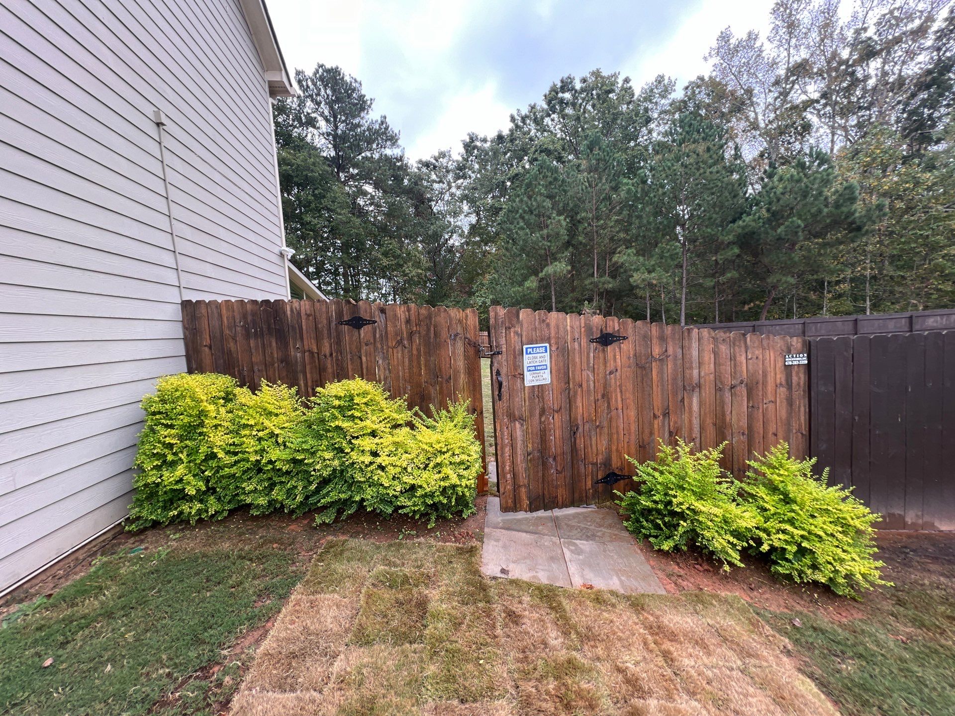 Fence Restoration using Chocolate by SSE by Titans of Timber Fence & Stain