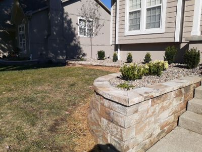 Front Yard Elevated landscape