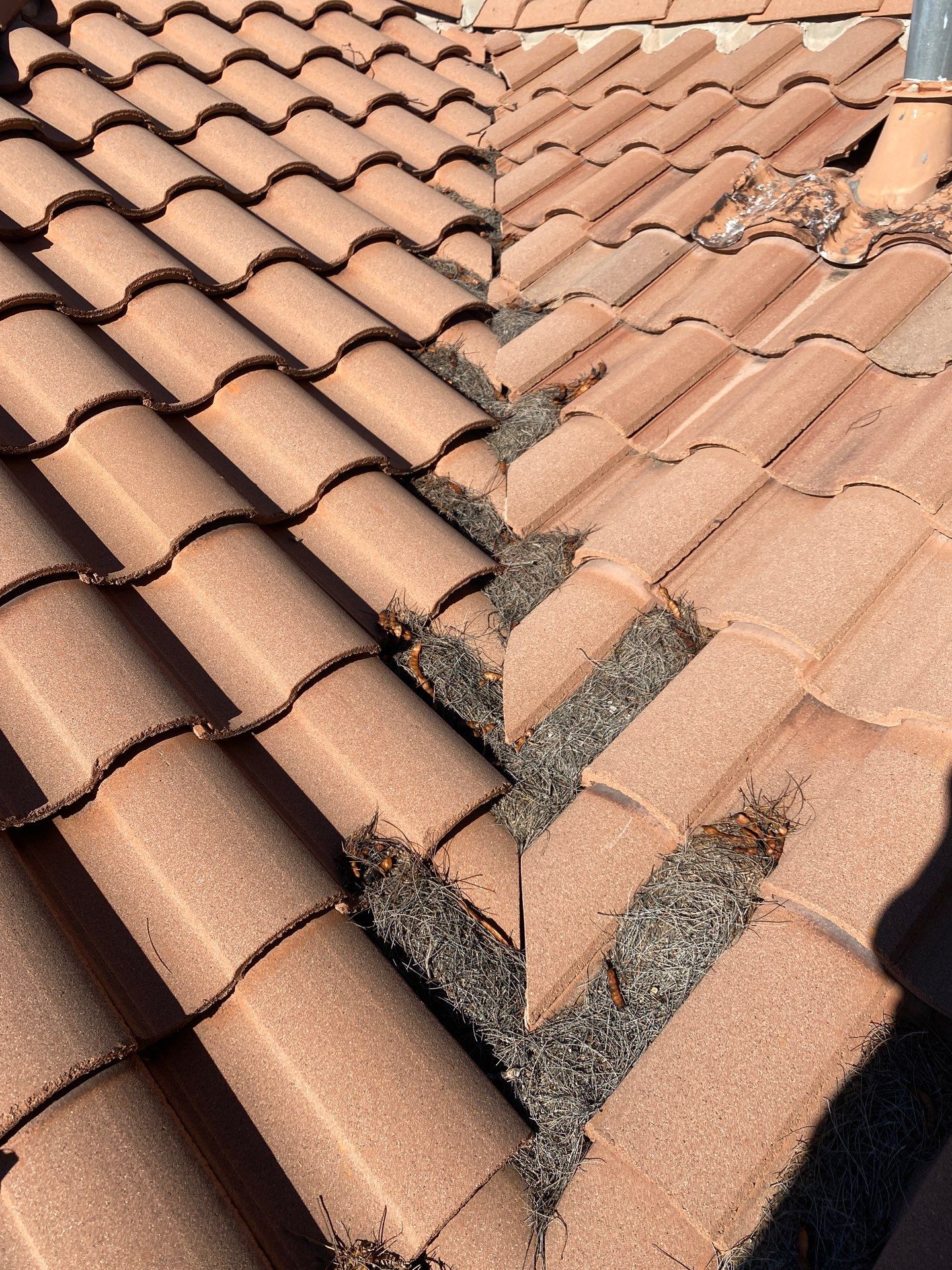 Residential Tile Roof Underlayment Replacement and Repair in Tucson by West Coast Roofing AZ