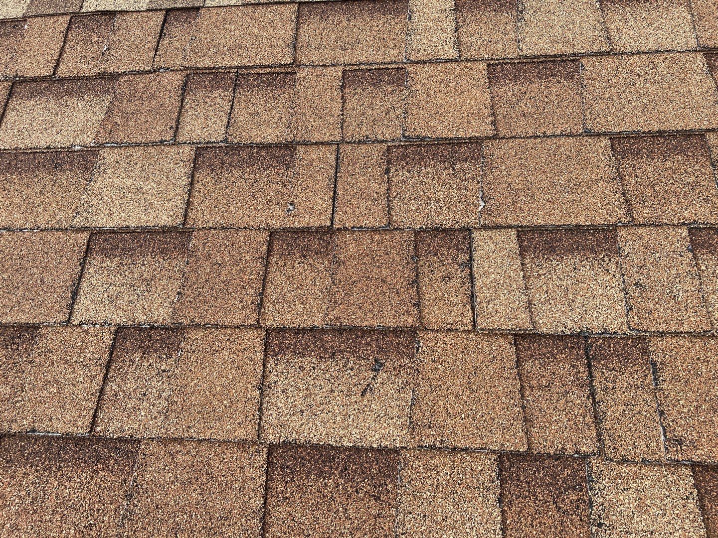 Jenna's Re-Roof and Ridge Vents by All Storm Roofing & Construction