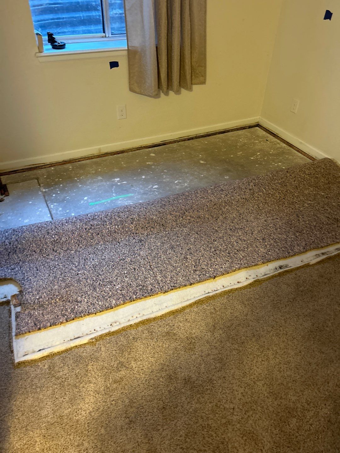 Mold Damage Project in Thornton by Accountable Home Services
