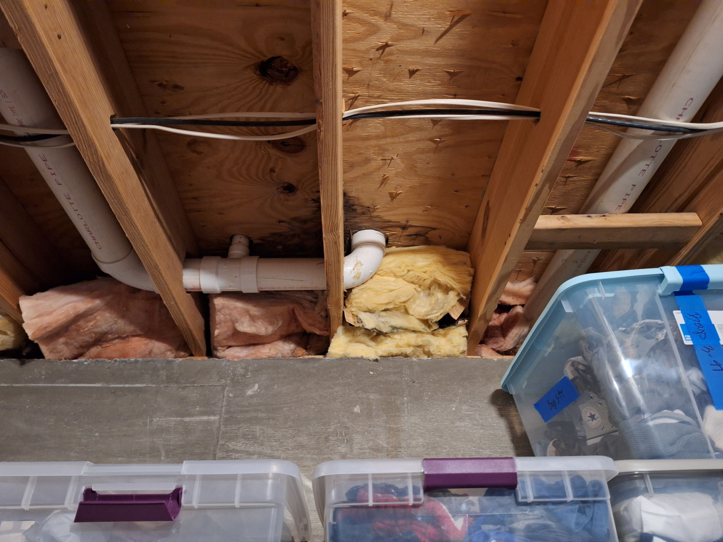 Basement Mold Remediation in Prospect, KY by ANR Restoration