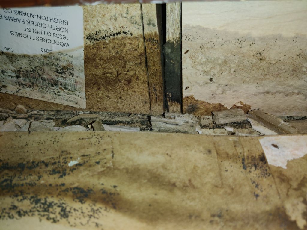 Mold Remediation in Kitchen by Accountable Home Services