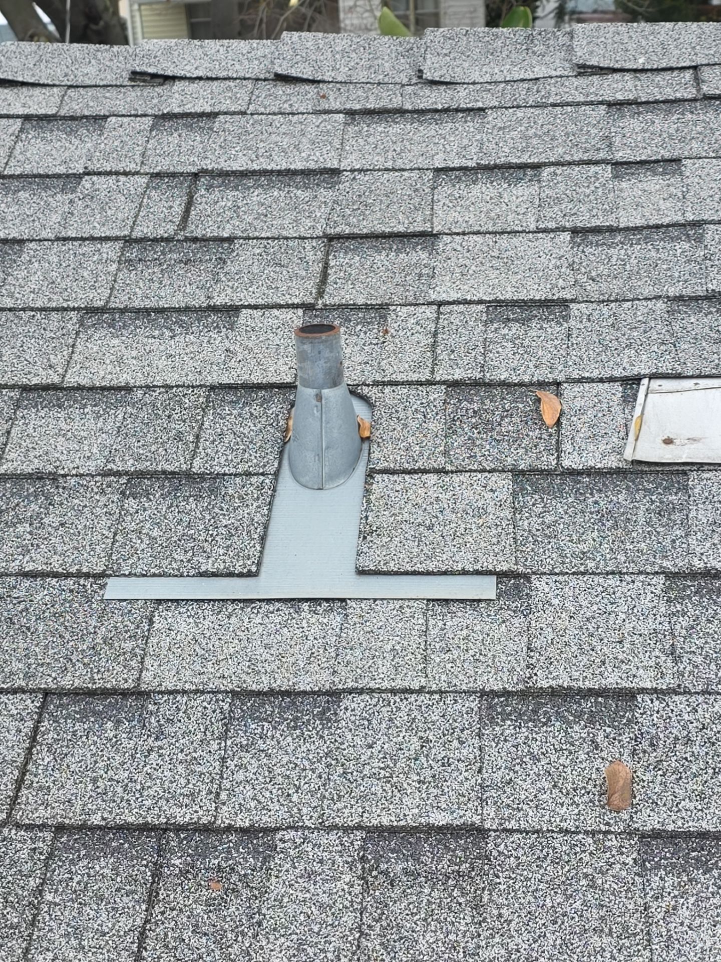 Roof Rejuvenation using Roof Maxx Treatment by Roof Maxx of Folsom