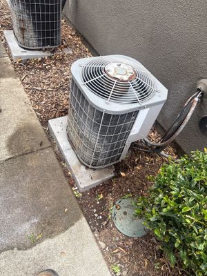 Maintenance Cleaning