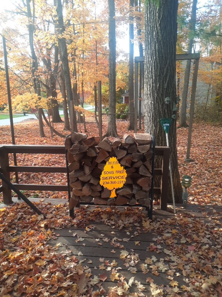 Firewood Delivery  using Seasoned Firewood by Mike Jones & Sons Tree Service LLC 