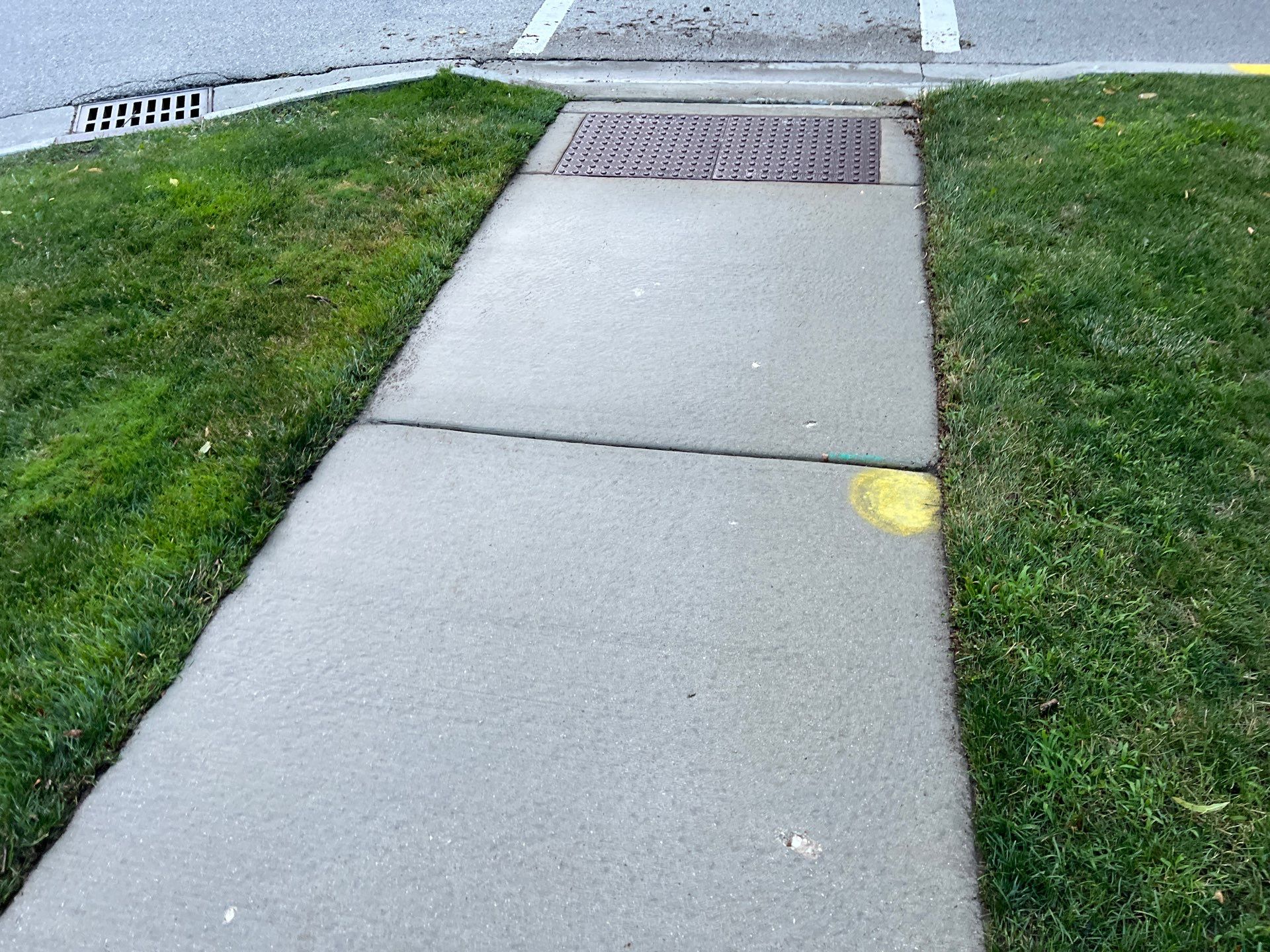 concrete cleaning using Algaecide, soft wash soap by Northern Power Washing LLC.